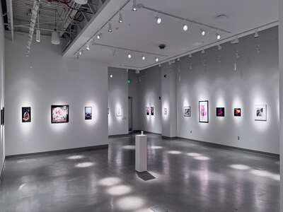 Irvine Valley College Gallery in Irvine