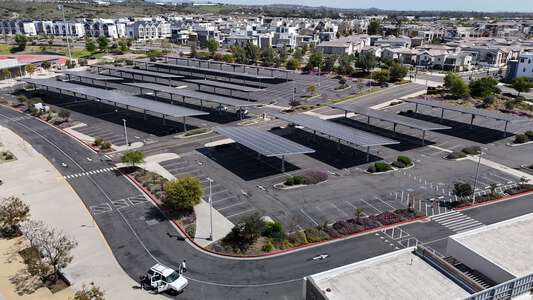 Parking Lot - Bulldog