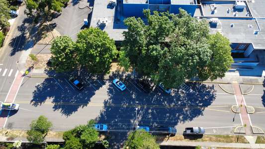 Parking Lot - Front