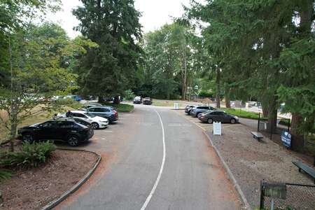 Norman Rockwell Elementary School Parking Lot in Redmond