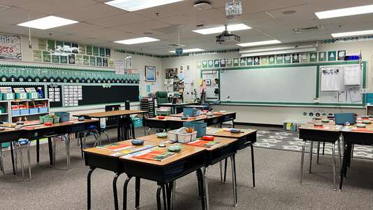 Cooper Elementary School Classroom Standard in Loganville 2