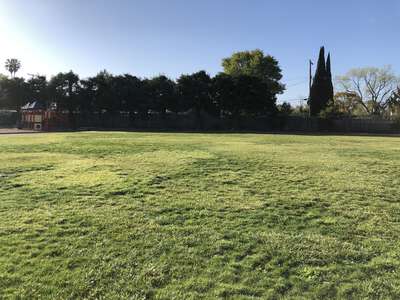 Sedgwick Elementary School Field - Practice 2 in Cupertino