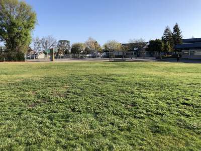 Sedgwick Elementary School Field - Practice 2 in Cupertino