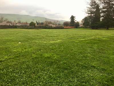 Rose Elementary School in Milpitas California Slideshow Image 1