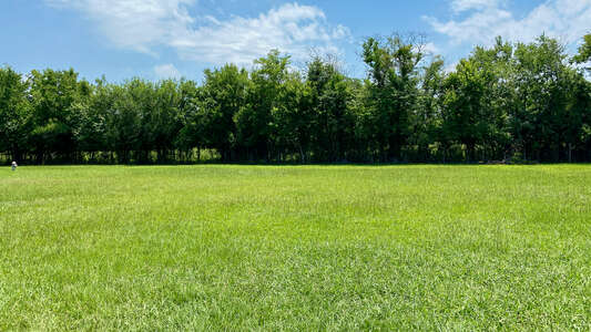 Mading Elementary Field - Practice 2 in Houston