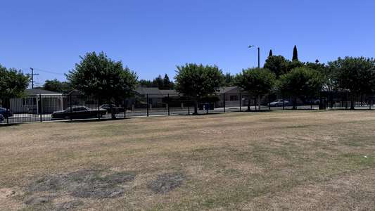 Field - Practice