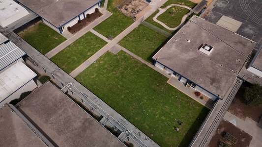 Olson Elementary Grass Area in Marina