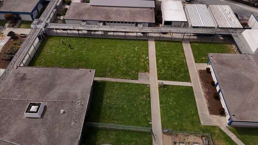 Olson Elementary Grass Area in Marina