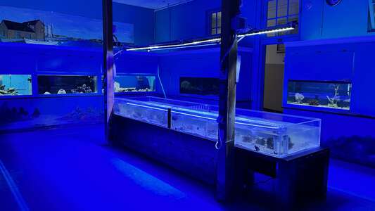 Marine Science Education Center Wet Lab (3 hr min) in Jacksonville