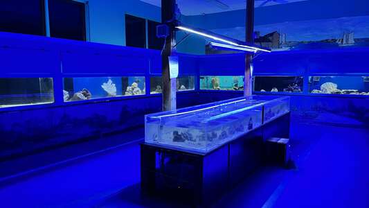 Marine Science Education Center Wet Lab (3 hr min) in Jacksonville