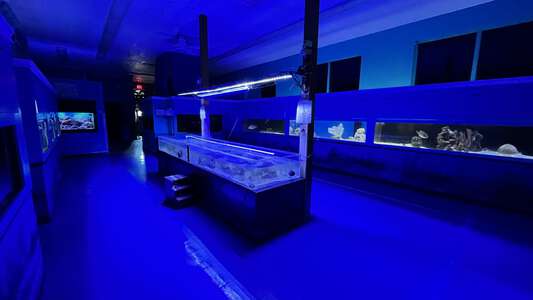 Marine Science Education Center Wet Lab (3 hr min) in Jacksonville