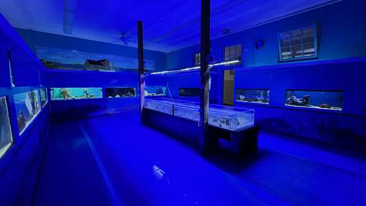 Marine Science Education Center Wet Lab (3 hr min) in Jacksonville