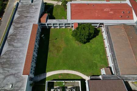 Outdoor Area - Grass
