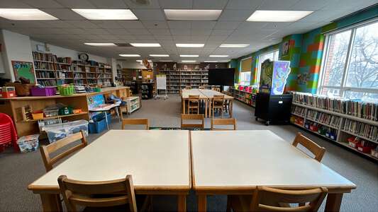 Linne - Carl von Linne Elementary School Library in Chicago 3