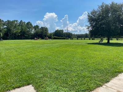 Veterans Elementary School Field - Practice 1 in Wesley Chapel