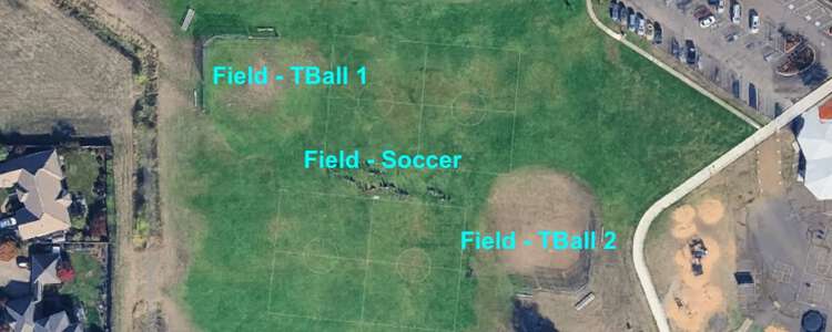 Field - TBall 2