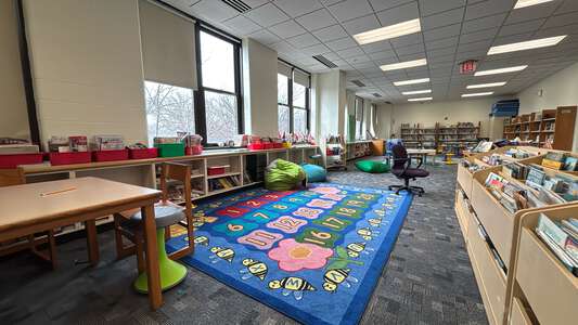 Young - Ella Flagg Young Elementary School Library in Chicago 2