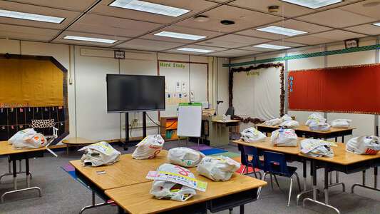 Green Elementary School Classroom Standard in San Diego