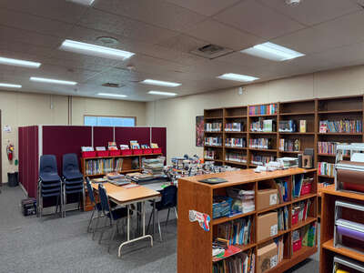 Tokay Colony at Turner Academy Library in Lodi