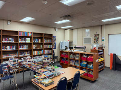 Tokay Colony at Turner Academy Library in Lodi