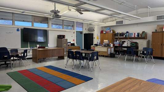 Handy Elementary School Classroom Standard in Orange