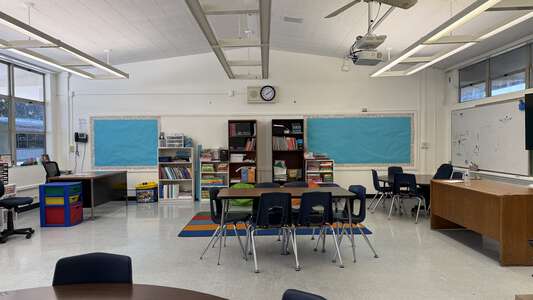 Handy Elementary School Classroom Standard in Orange