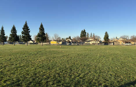 Lois E. Borchardt Elementary School Field - Practice in Lodi