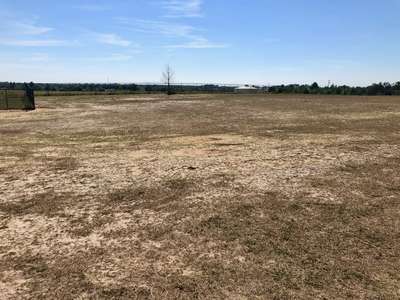 Horizons Elementary School Field - Practice 2 in Davenport