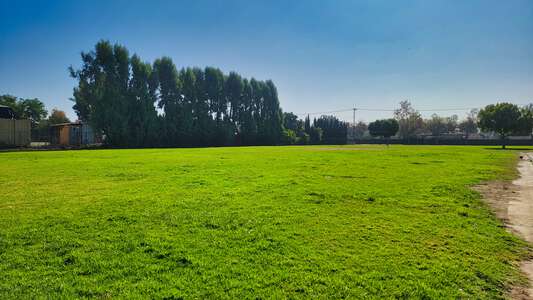 Bon View Elementary School Field - Practice in Ontario