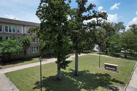 Front Lawn (3 hr min)