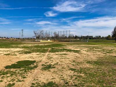 Field - Baseball