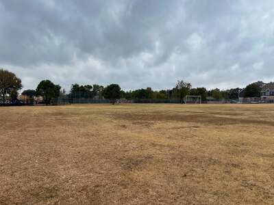 Natural Grass Soccer Field