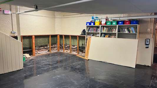 Mitchell  - Ellen Mitchell Elementary School Library in Chicago 2