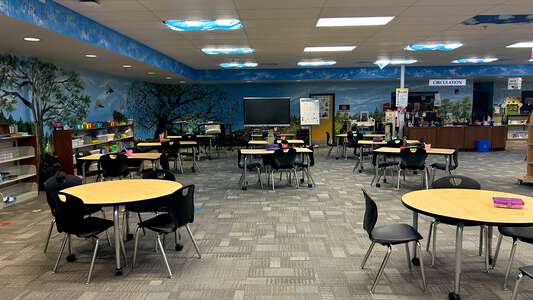 Dyer Elementary School Media Center in Dacula