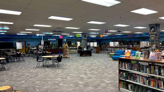 Dyer Elementary School Media Center in Dacula