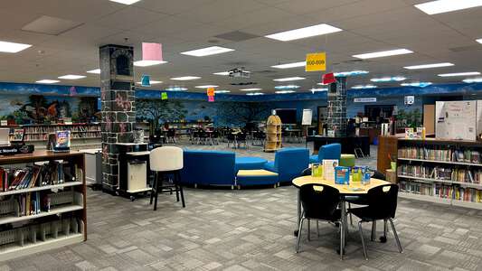 Dyer Elementary School Media Center in Dacula