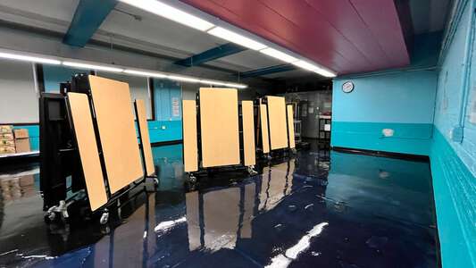 Darwin - Charles R Darwin Elementary School Cafeteria in Chicago 2