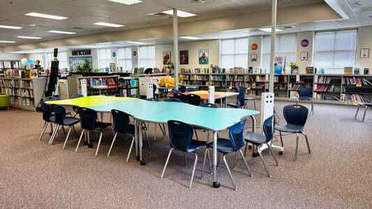 Stripling Elementary School Media Center in Norcross