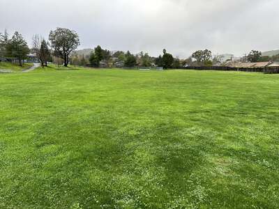 Miller Creek Elementary School District Mark Day Field in San Rafael