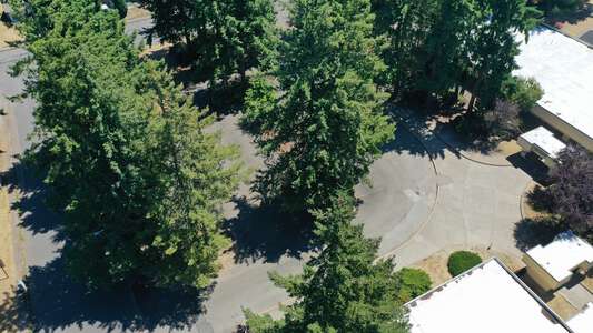 Brigadoon Elementary School Parking Lot - Visitor in Federal Way