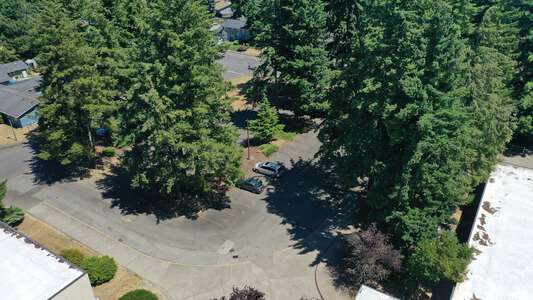 Parking Lot - Visitor