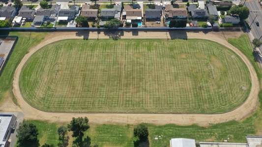 Field - Football (Grass)