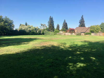 Zamora Elementary School Field - Practice 1 in Woodland