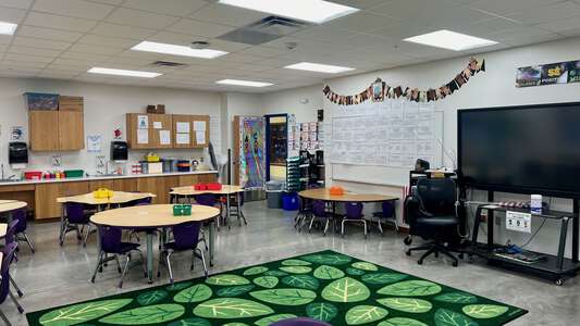 C.F. Carr Elementary School Classroom Standard in Dallas