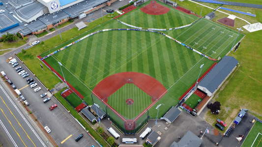 Field - Baseball (Turf)