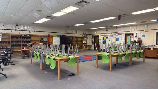 Ray - William H. Ray Elementary School Music Room in Chicago 3
