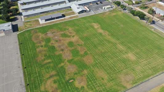 Field - Soccer