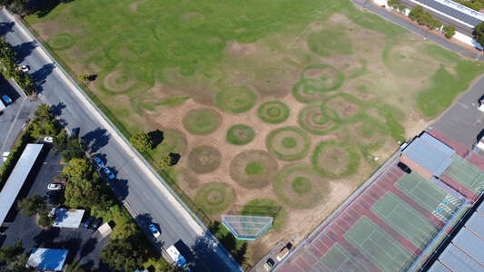 James Logan High School Field - Practice 8 in Union City