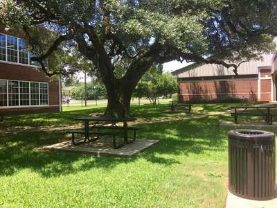 Pride High School Courtyard in Lockhart