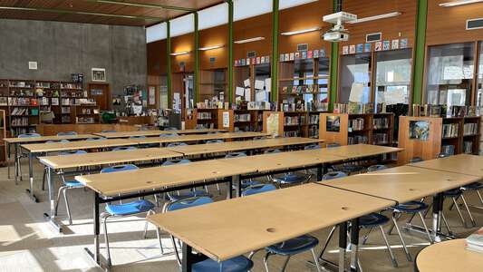 Maple Elementary School Library in Springfield